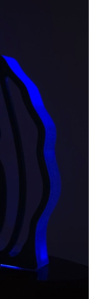 dark blue v