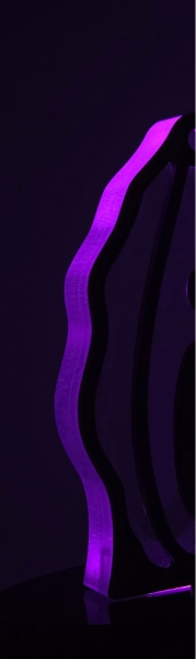 purple v